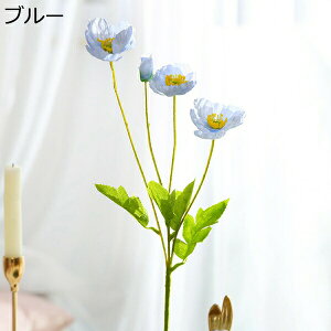 c@ԁ@3{@qiQV@{@@sv@͂Ȃԁ@u[P@fR[V@CeA@Lb`@֏@ItBX@iX@pف@Be@DIY@v