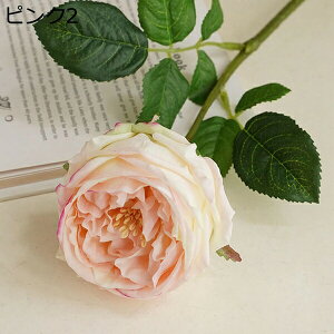 o  ͂Ȃ  1 ̓Mtg LO  { sv  t[ 뉀 Ԍ|p v[g  iX ԑ VN hCt[