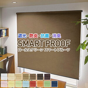 �y�ő�4,000�~OFF�z5/23 20:00�`5/26 9:59�Ռ��E�h���E�R�ہE���L���[���X�N���[���uSMART PROOF�v �T�C�Y:��81�`120cm×��201�`250cm �h�����[���X�N���[��
