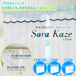 ډBłāA߂܂ܕ邻ĉL[gȁuSoraKaze\J[v[XJ[eFTCYF125150cm×203`248cm×2g