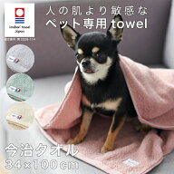 犬 猫 タオル バスタオル 小さめ 今治タオル スリムバスタオル 敏感肌の 愛猫 愛犬 綿100% 気持ちいい肌…