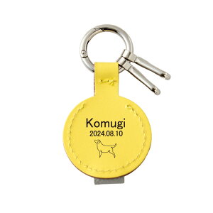 VGbg ѓ уP[X `[ ꖳ ybgp {v { A qQP[X I[_[Ch уy_g уL[z_[ уANZT[ L[Ot