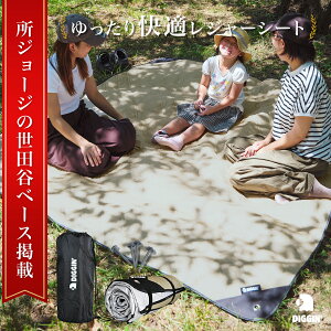 yW[W̐cJx[Xfځz DIGGIN' 􂦂 W[V[g 唻  RpNg eg}bg h  200x200 sNjbNV[g LvV[g AEghAV[g eg Ci