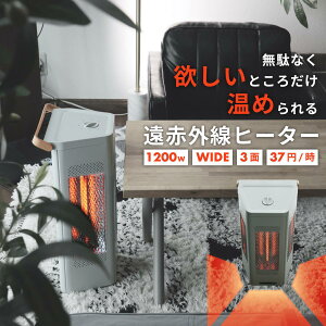 őP42{C300~OFF r[T dCXg[u q[^[ J[{q[^[ ߓd GR 400w 800w 1200w o ؑ ԊO Su  AC{[ O[W ؖ