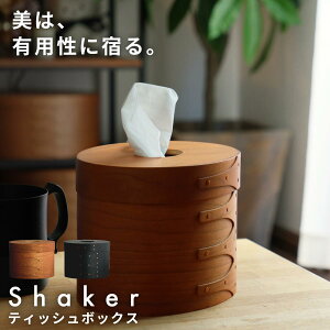 őP42{C300~OFF r[T eBbV{bNX eBbVP[X VF[J[ VF[J[{bNX g   ؐ fUC HS3314