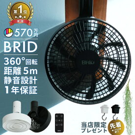 レビュー特典あり ダクトレールファン ダクトレール ファン サーキュレーター ライティングレール BRID 3D おしゃれ シンプル 静か DC 自動 首振り 上下 左右 天井 シーリング 扇風機 ダクトレール用 レールファン 3431