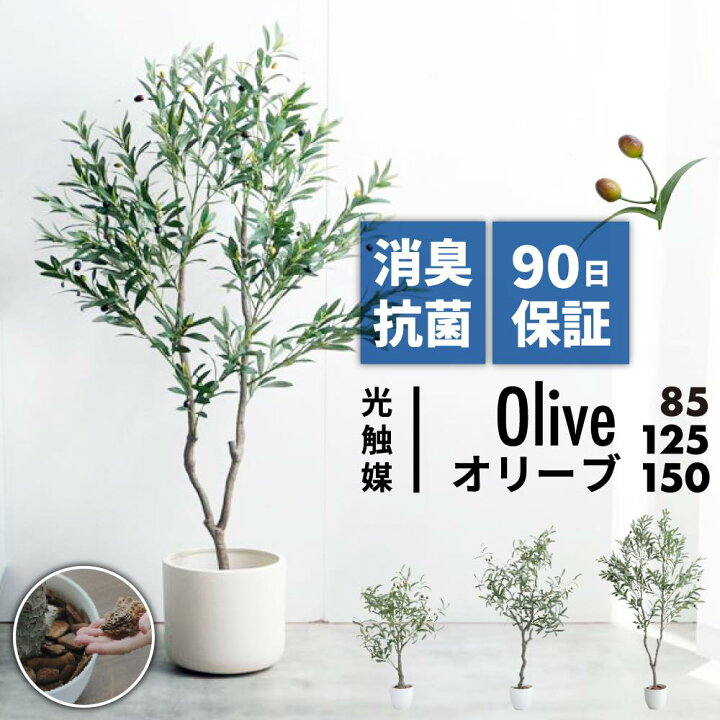 楽天市場】レビュー特典あり フェイクグリーン オリーブ 鉢植え お祝い 