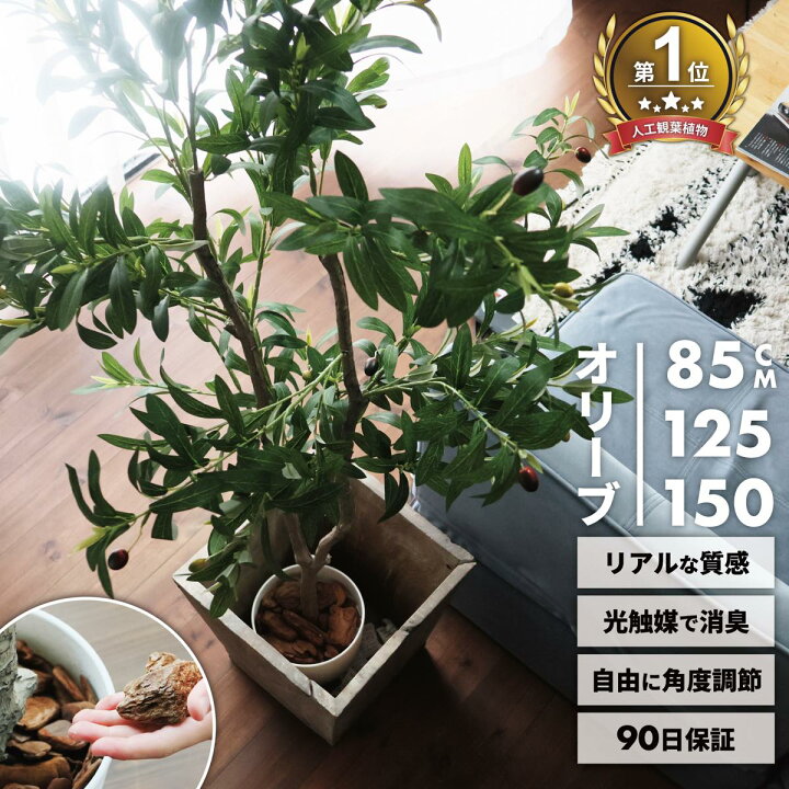 楽天市場】レビュー特典あり フェイクグリーン オリーブ 鉢植え お祝い 