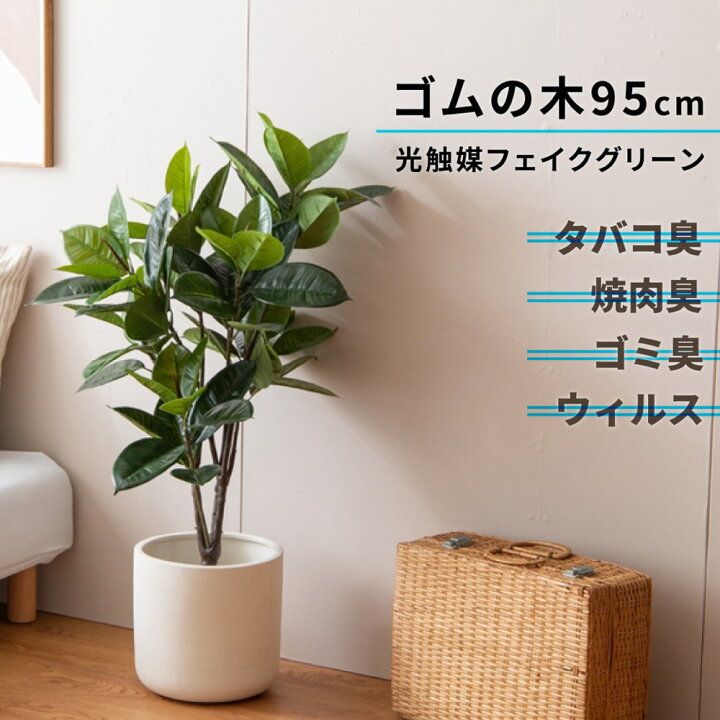 楽天市場】抽選で10,000P&最大200円クーポン全員GET! フェイクグリーン 