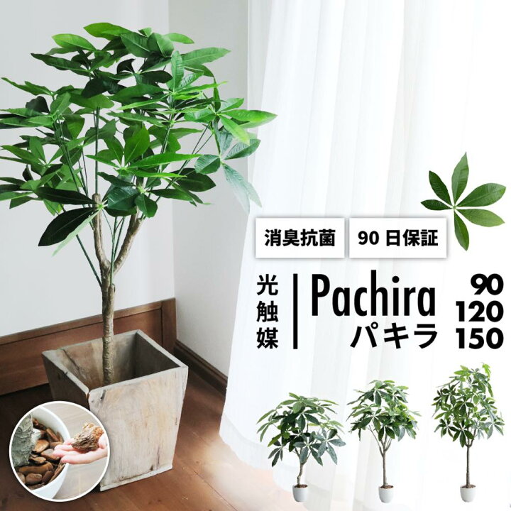 楽天市場】最大P47倍 500円C レビュー特典! 大型のフェイクグリーン 