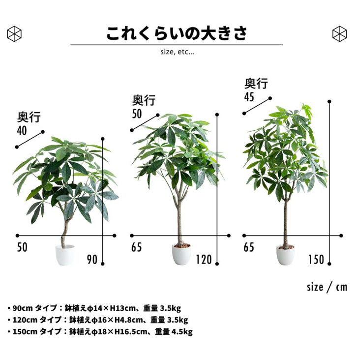 楽天市場】レビュー特典あり フェイクグリーン パキラ 大型 観葉植物 