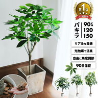 ゲーム参加でクーポンGET&最大P47フェイクグリーン パキラ 大型 観葉植物 フェイク 光触媒 防臭 消臭 抗…