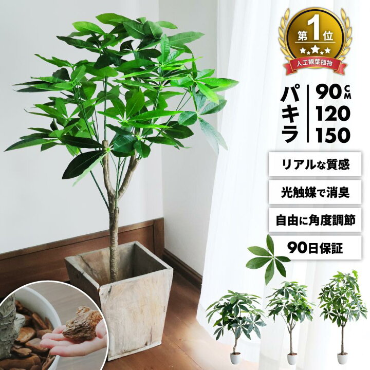 楽天市場】レビュー特典あり フェイクグリーン パキラ 大型 観葉植物 