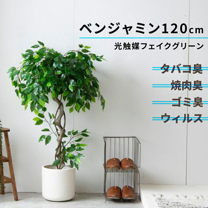 楽天市場】店内全品P13倍/最大500円C/レビュー特典! フェイクグリーン 