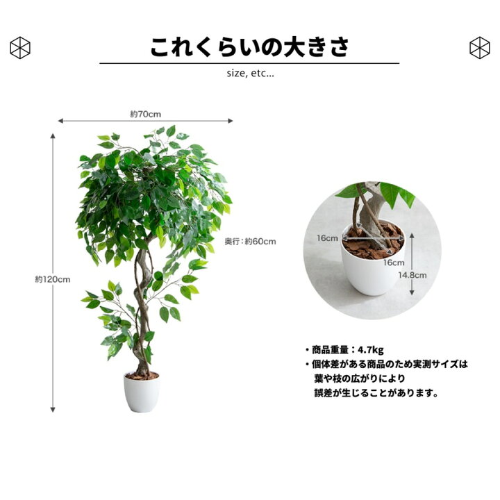 楽天市場】店内全品P13倍/最大500円C/レビュー特典! フェイクグリーン 