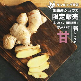 最大P42倍C300円OFF レビュー特典あり 姫路産 しょうが 新生姜 自然栽培 産地直送 農薬 除草剤 不使用 1kg 3kg 受賞 国産 土付き 瑞々しい 甘い ジューシー