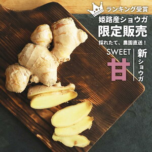 レビュー特典あり 姫路産 しょうが 新生姜 自然栽培 産地直送 農薬 除草剤 不使用 1kg 3kg 受賞 国産 土付き 瑞々しい 甘い ジューシー