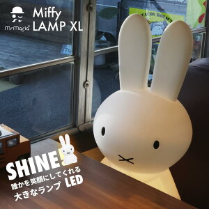 r[T ~btB[̑傫ȃCg/vXLI6iK̖邳߂łLEDCgŎq⌺ւłȂVbva@ɂ߂̂ȃIuWFBVzja