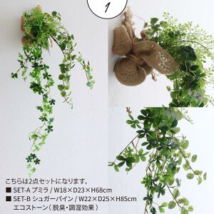 őP42{C300~OFF r[T tFCNO[ nMO i A  nMOO[ ݂邷 tbN V  L EL