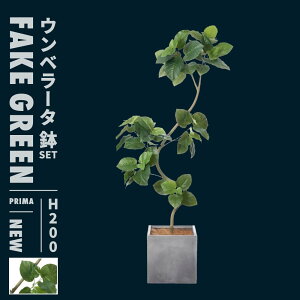 r[T tFCNO[  Zbg Ex[^ ^  tFCN 傫 200 cm ϗtA A  ͂Ȃ lHA  t v^[ A  ItBX JXj 