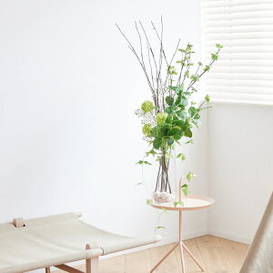 r[T hE_ccW KXV_[ KX H105cm ϗtA tFCNO[    A[eBVt[  i { ԕr t[x[X Zbg |