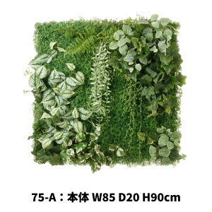 őP42{C300~OFF r[T EH[pl tFCNO[  ǖ EH[O[   A pl  ǃpl A[gpl [tpl ǖʑ O[pl