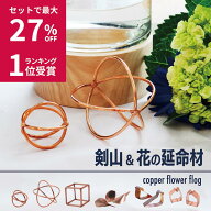 最大P47倍 333円OFF レビュー特典あり 花 延命剤 切り花 植物活性剤 切花 生花 延命 剣山 おしゃれ コッ…