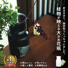 最大P42倍C300円OFF レビュー特典あり フラワーベース 大きい 枝物 おしゃれ ガラス製 シンプル 丸型 口が広い 高さ 26cm 一輪挿し 軽量 洗いやすい リューズガラス 花瓶 栄養剤 お花 ガイド付