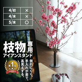 初めての方限定クーポン レビュー特典あり アイアンスタンド 枝物 花瓶 花器 おしゃれ シンプル ギフト アイアン アイアンデコ 黒 ブラック シンプル フラワーベース 423791 桜