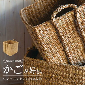 őP42{C555~OFF r[T  oXPbg 傫 Jo[ ϗtA [ [ V[OX JS  v^[Jo[ A v^[ h[obO rO[ [