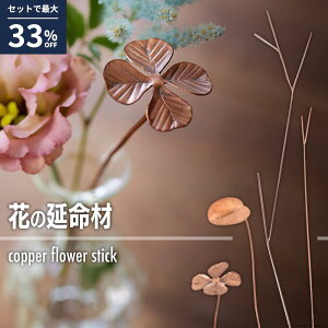 őP37{C222~ r[T yZbgz    ͍ A ؉   R CI Rbp[ t[tbO t[Ct Ctt[ R  