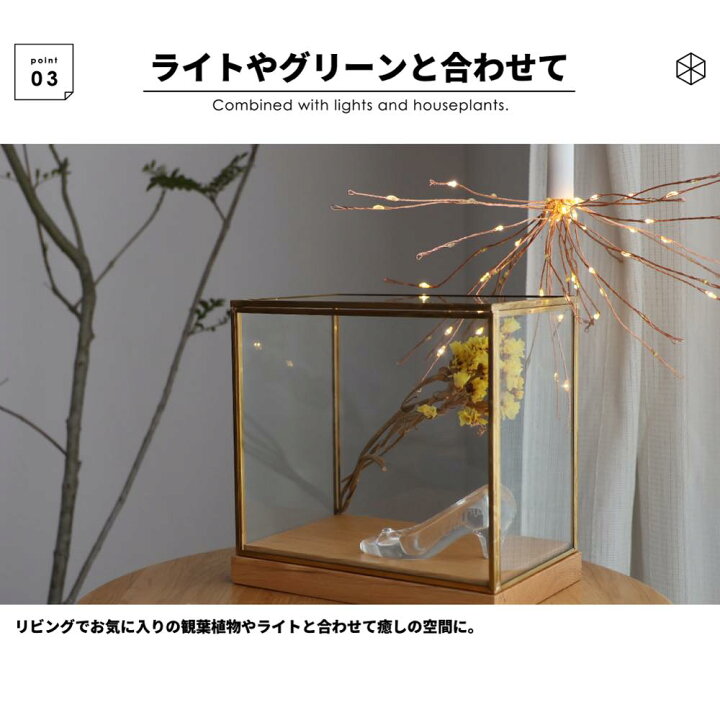 楽天市場】抽選全額P還元!レビュー特典GET! ガラスケース アンティーク 