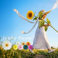 ジャンボフラワー フェイクグリーン 造花 花 ジャンボ フラワー SNS 大きい 写真 フォト 結婚式
