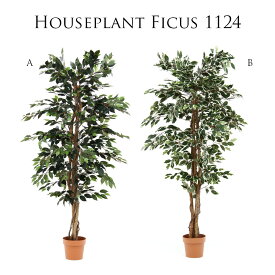 【期間中10％OFF】観葉植物 フェイク 大型 木 フェイクグリーン フィカス 幅90cm 高さ170cm インテリア雑貨 グリーン アンティーク 置き物 オブジェ ガーデン 飾り インテリア インテリアガーデン 室内ガーデン お祝い プレゼント 贈り物 開店祝い