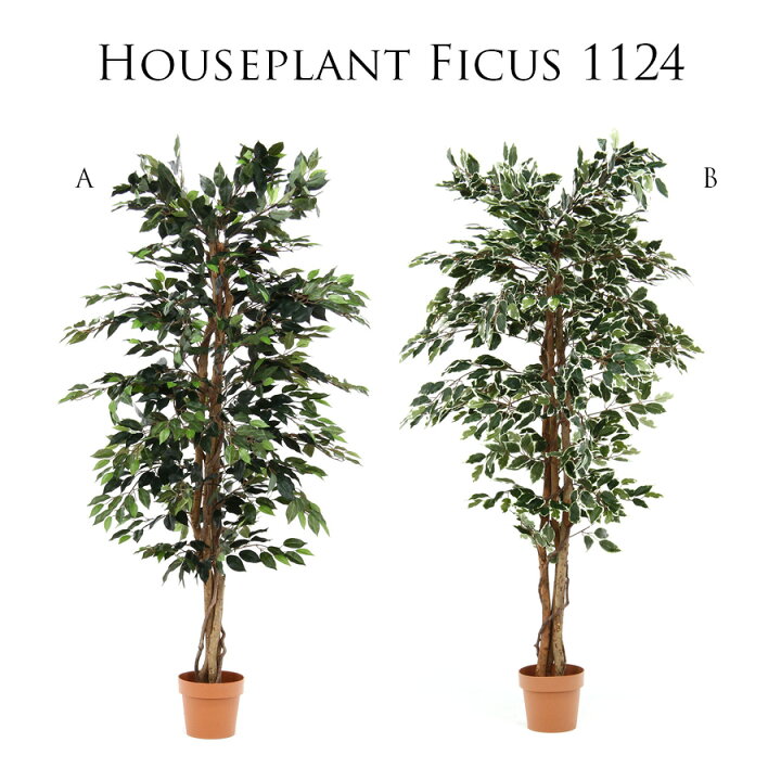 楽天市場】10%offクーポン配布中 観葉植物 フェイク 大型 木 フェイク 