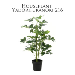 115%offN[| ϗtA tFCN ^  tFCNO[ htJmL 50cm 105cm CeAG O[ AeB[N u IuWF K[f  CeA Ce