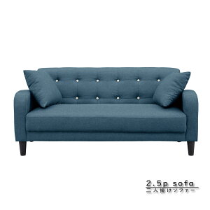 10%offN[|zz 2.5l| 2P\t@[ zn RpNg l炵 w  킢 Vv _ X^CbV t@ubN ؋r I