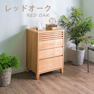 10%offN[|zz `FXg rO Ƌ 62cm s45cm k rO`FXg RpNg  { VR ؐ i 4i [`FXg g i Yi tI[v