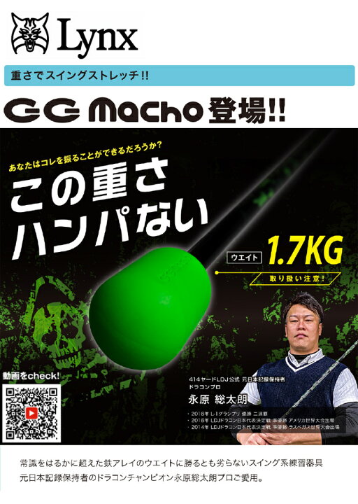 楽天市場】[公式] Lynx リンクス ゴルフ GG MACHO ジージーマッチョ 
