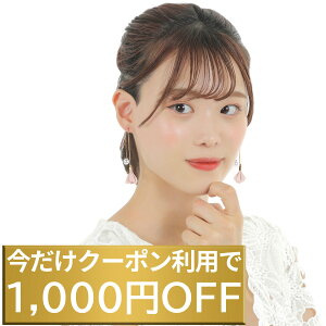 Ԍ1,000~OFFN[| sAX h t[ Ȃ p[sAX 킢 ANZT[ Lb` p[  sN  S[h AM[ `F[  i 