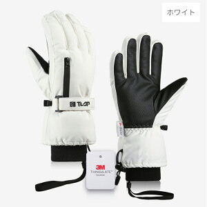 y΍zXL[ O[u jp Xm[O[u hEhE ӂ藠N XL[ Xm[{[h AzΉ  ܖ{w oR oCN ] ~ʋΒʊw ~ Sh 