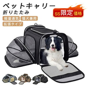 yzybgL[ ybgL[J[g ybgL[bN ybgobN ybgbN ybgL[obO L  g^ L[obN ^ L obO ybgL