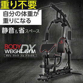 ライシン ホームジム マルチ トレーニング 器具 セット 総合 大型 ワイヤー式 マシン 重りの無い静音設計 BODY WEIGHT GYM DX