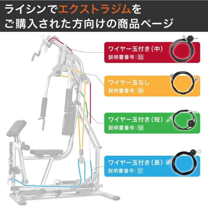 楽天市場】ライシン エクストラジム 専用 ワイヤー : ライシン 楽天市場店