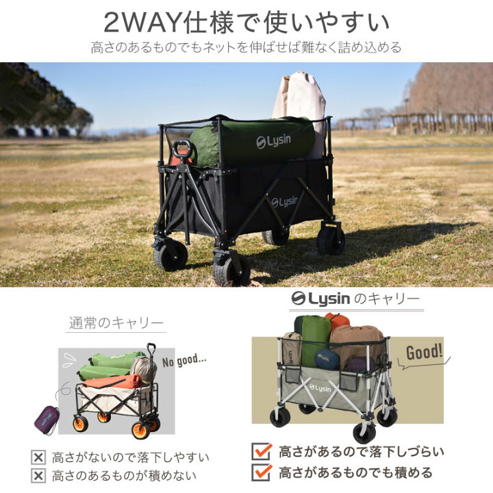 楽天市場】【期間限定セール】【レビュー投稿で2年保証】 ライシン 