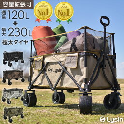 大型キャリーバッグ・台車