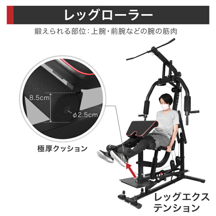 楽天市場】ライシン ホームジム マルチ トレーニング 器具 セット 総合 