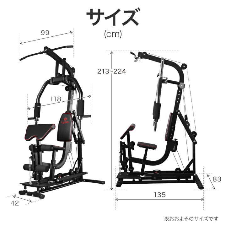 楽天市場】ライシン ホームジム マルチ トレーニング 器具 セット 総合 