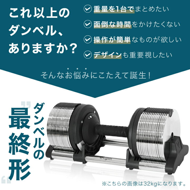 楽天市場】【レビュー投稿で2年保証】 ライシン ヘリックスミラー 1kg 