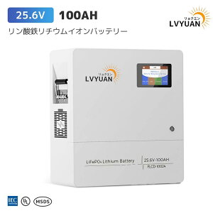 LVYUAN 25.6V 100AH 2.56kWh LiFePO4 _S`ECIobe[ ƒp~dr 4000-10000TCN ƒp\[[VXe ItObh Ԓ \[[d obNAbv 5Nۏ Grade-A̓dr